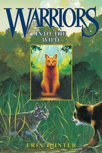 Into the Wild cover backdrop
