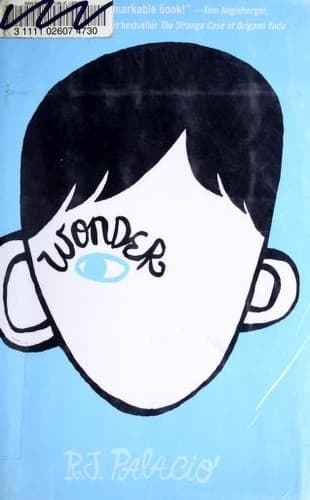 Wonder cover backdrop