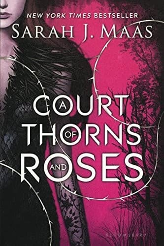 A Court of Thorns and Roses cover backdrop