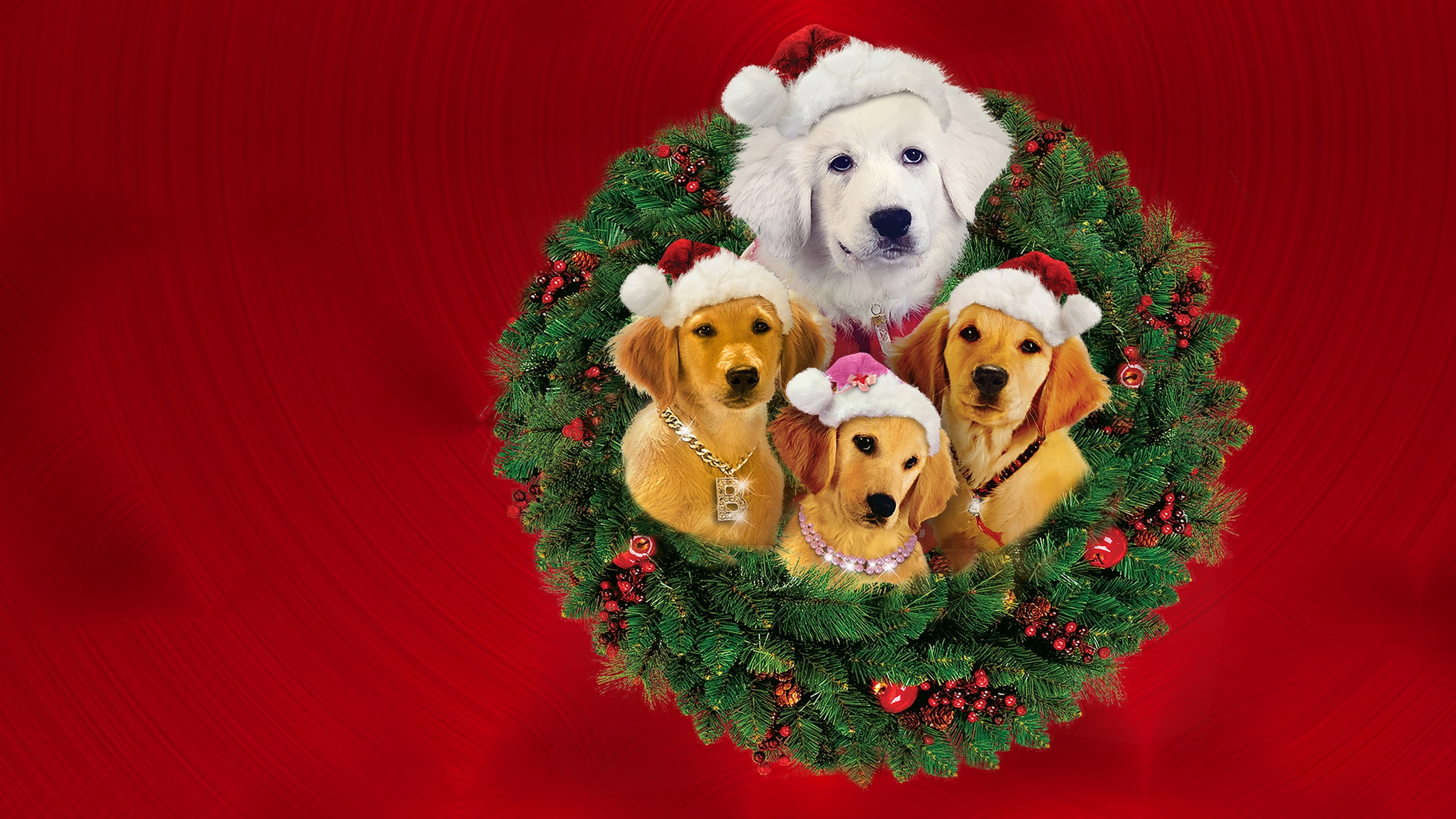 Santa Buddies backdrop