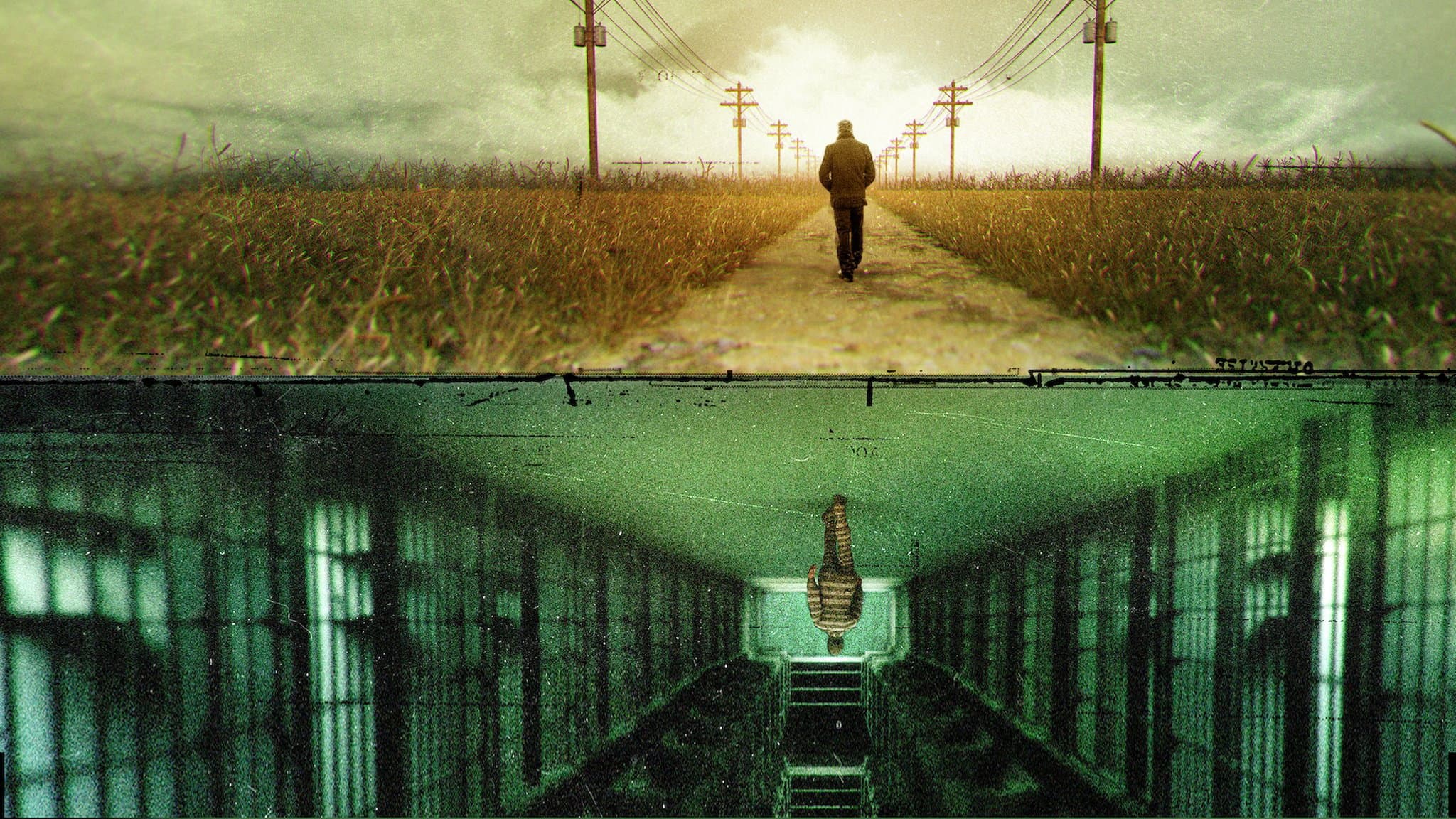 The Innocence Files backdrop