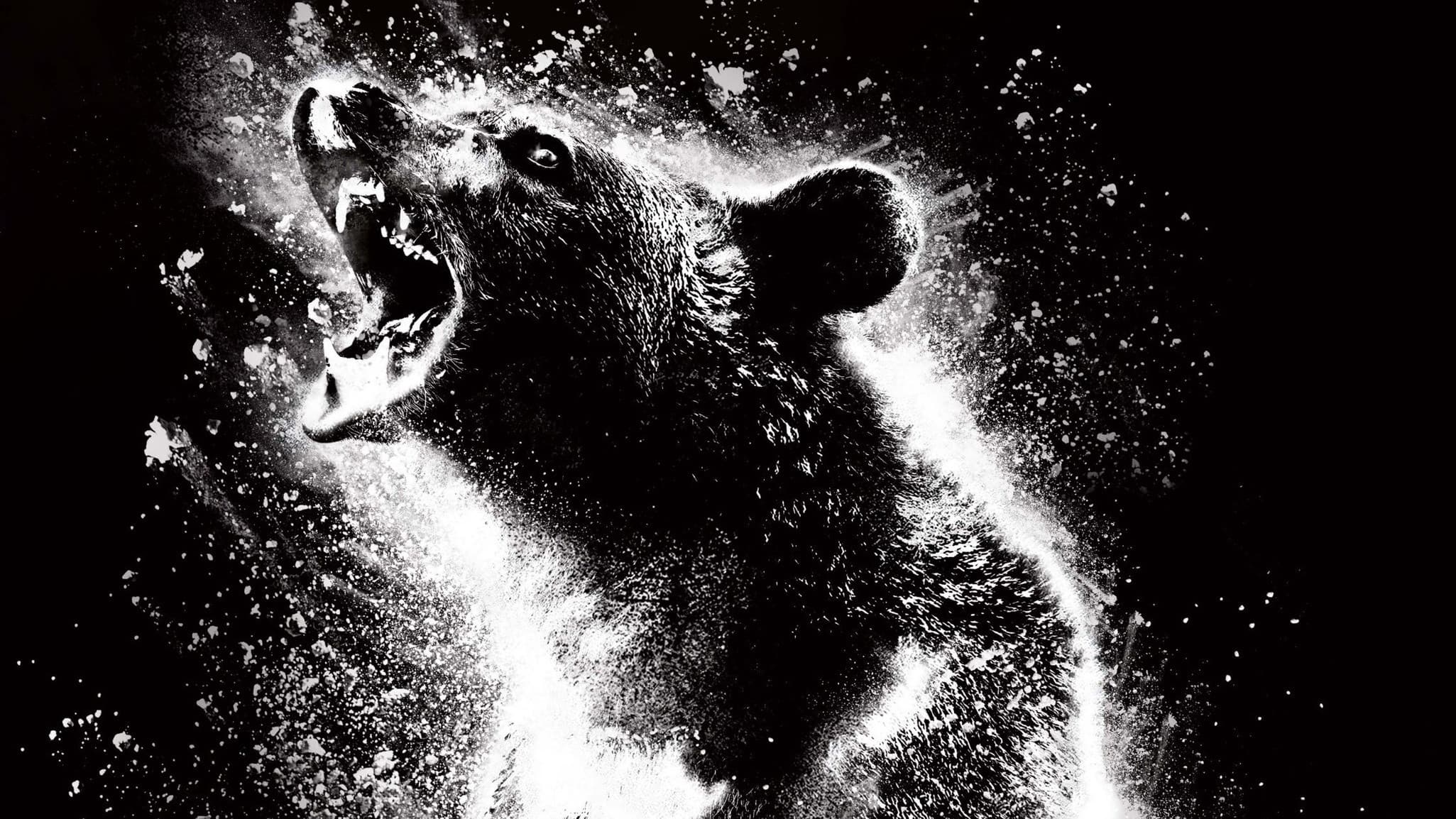 Cocaine Bear backdrop
