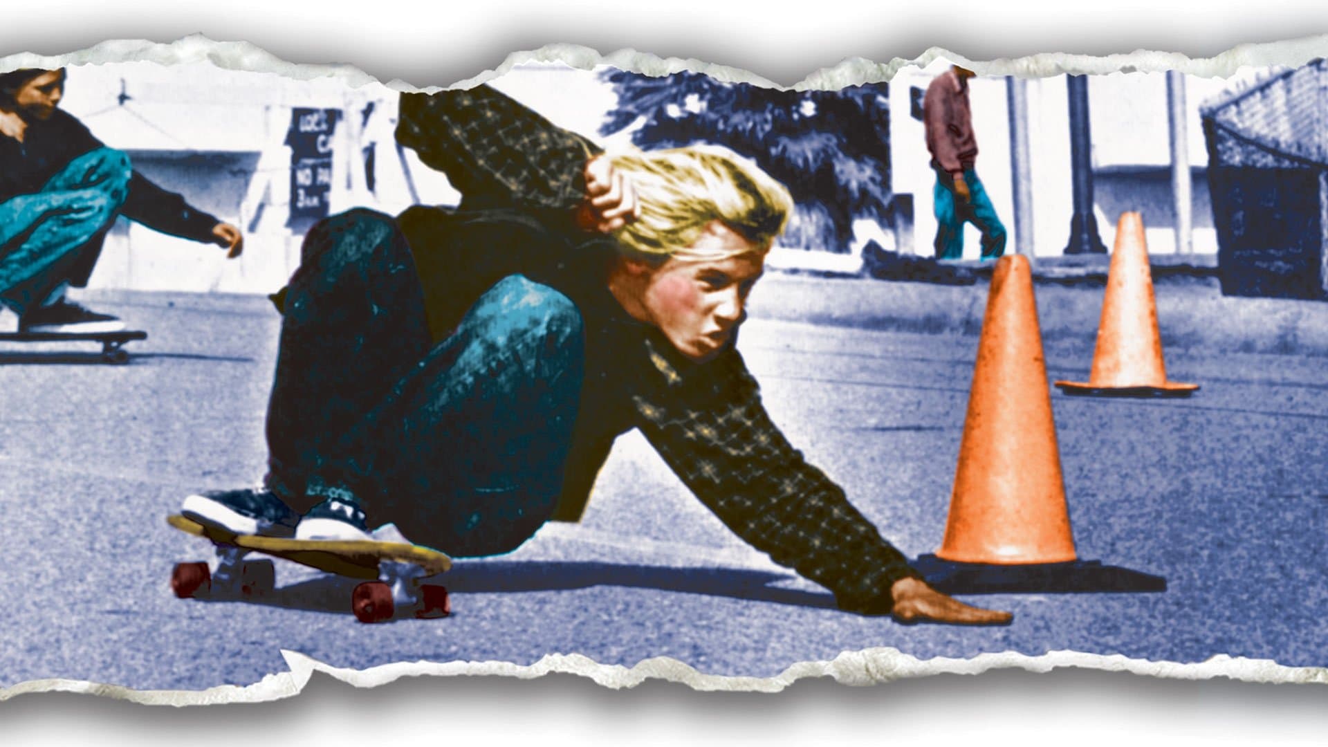 Dogtown and Z-Boys backdrop