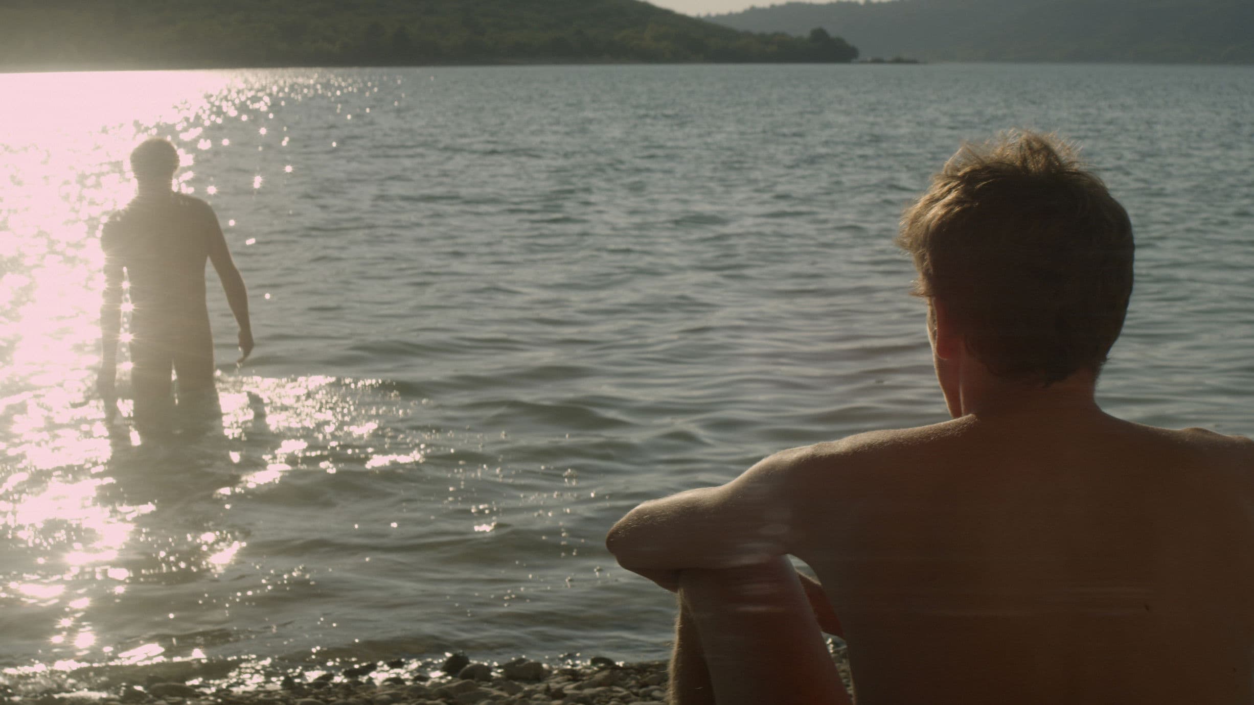 Stranger by the Lake backdrop