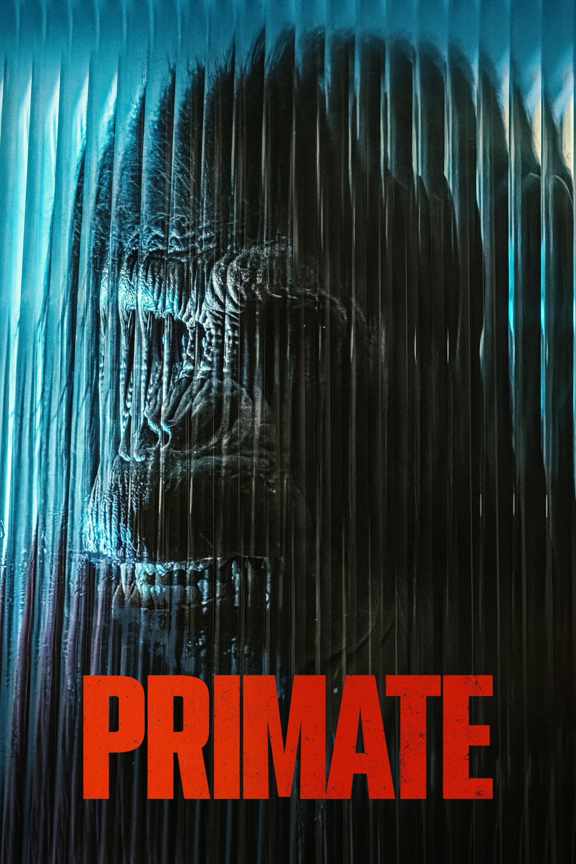 Primate