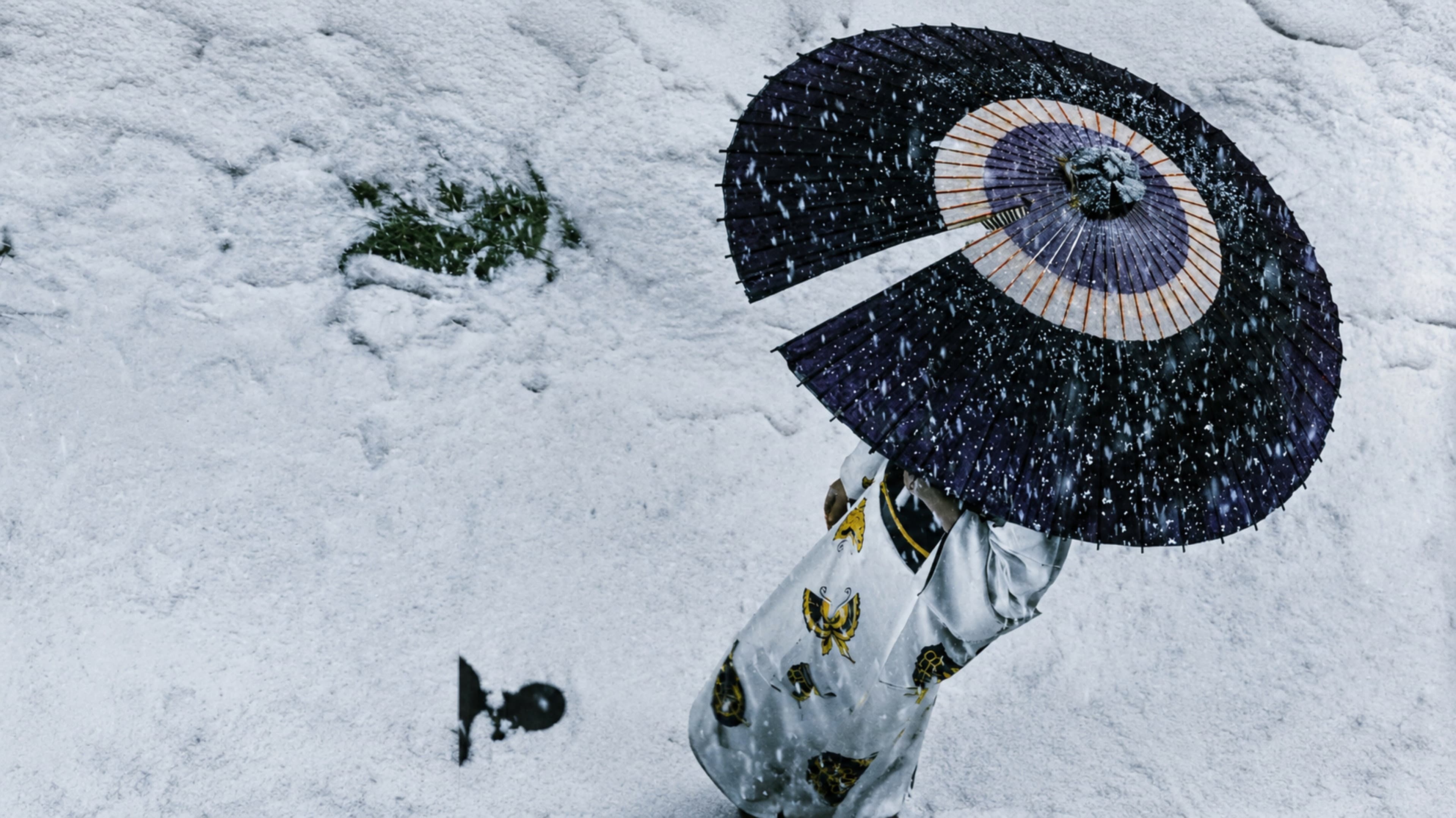 Lady Snowblood backdrop