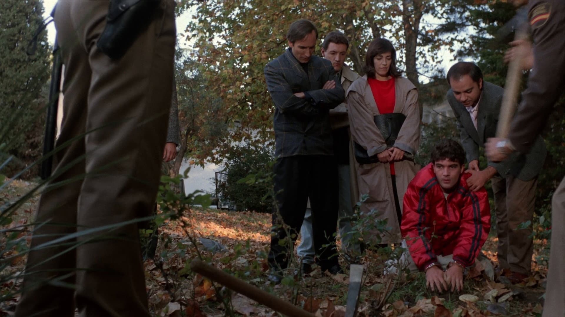 Matador backdrop