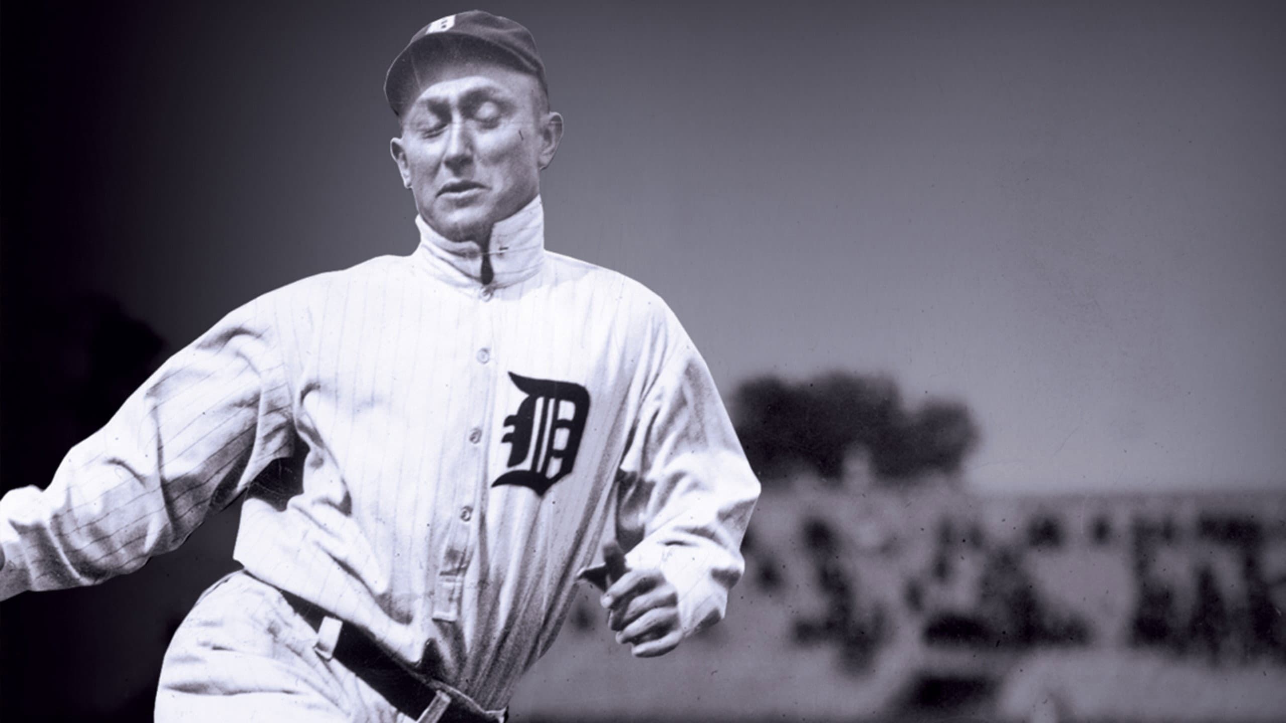 Baseball backdrop