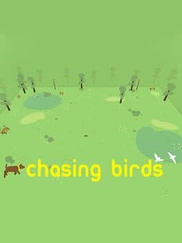 Chasing Birds cover art