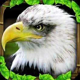 Eagle Simulator cover art