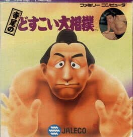 Terao no Dosukoi Oozumou cover art