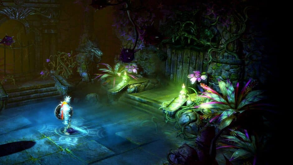 Trine 2 screenshot 4