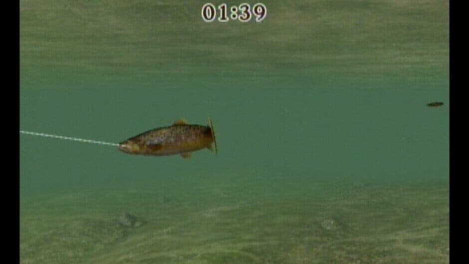 Reel Fishing Challenge screenshot 5