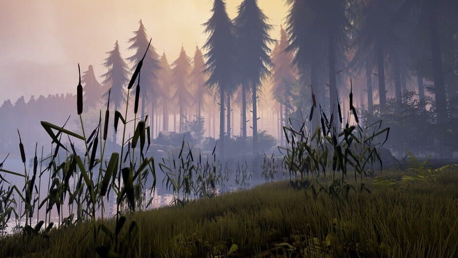 Bigfoot screenshot 3
