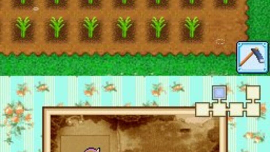 Harvest Moon DS: Grand Bazaar screenshot 8