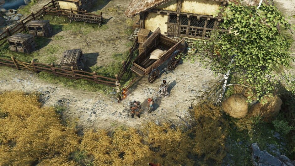 Divinity: Original Sin II screenshot 1