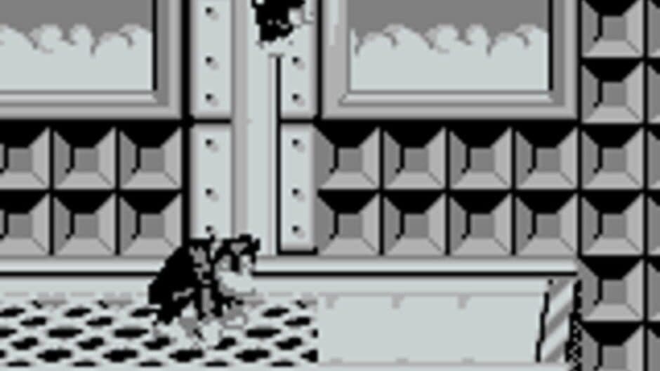 Donkey Kong Land screenshot 6