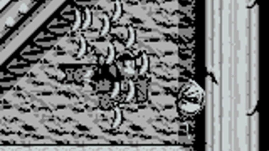 Donkey Kong Land screenshot 1