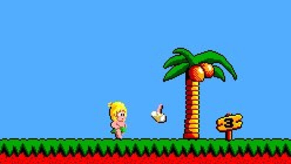 Wonder Boy screenshot 3
