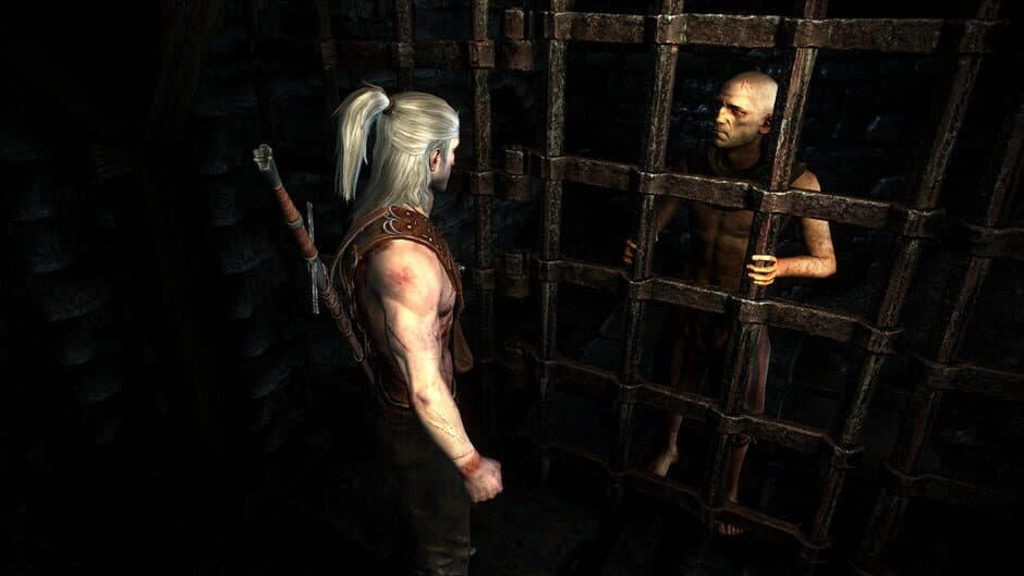 The Witcher 2: Assassins of Kings screenshot 5
