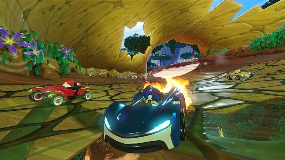 Team Sonic Racing screenshot 1
