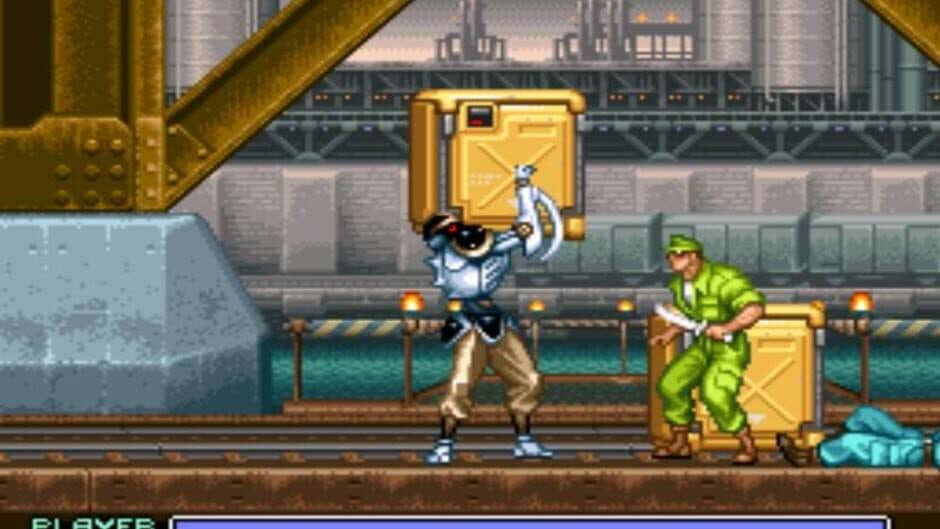 Ninja Warriors screenshot 3