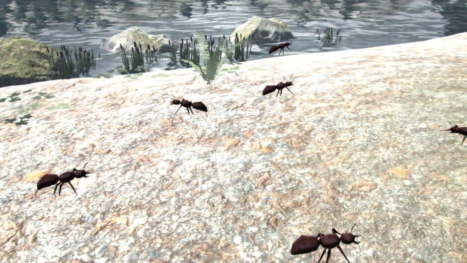 Leisure Town screenshot 4