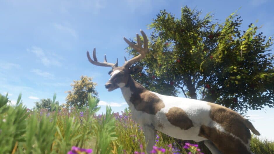 Animallica screenshot 2