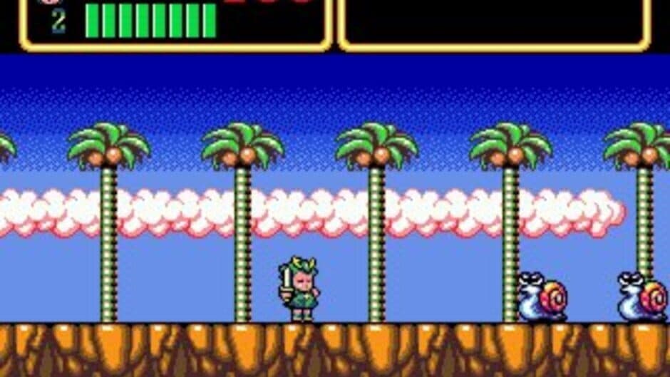 Wonder Boy III: Monster Lair screenshot 9