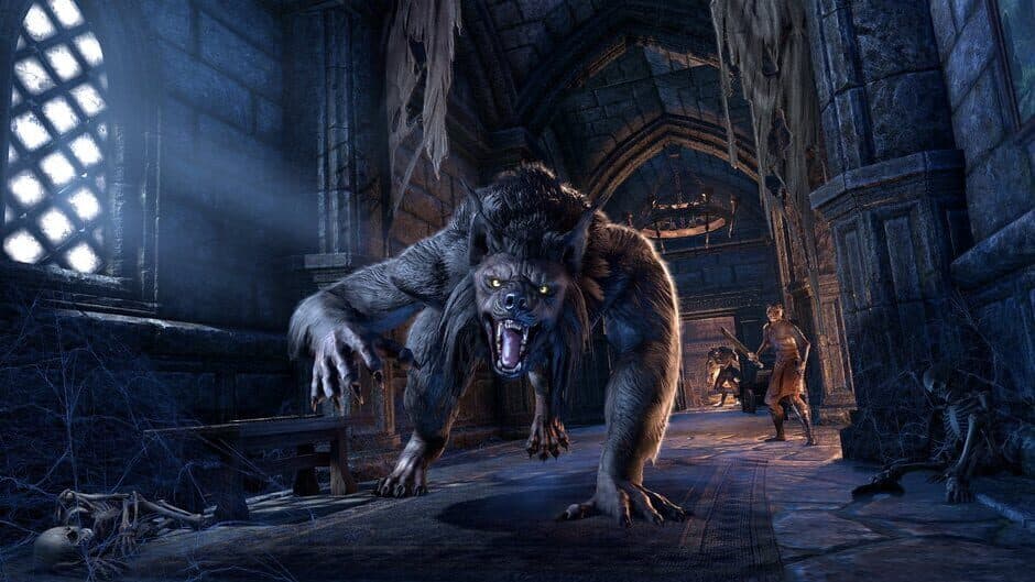The Elder Scrolls Online screenshot 9