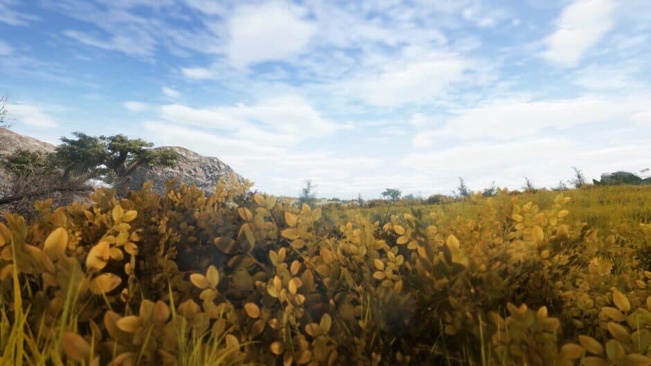 Animallica screenshot 5