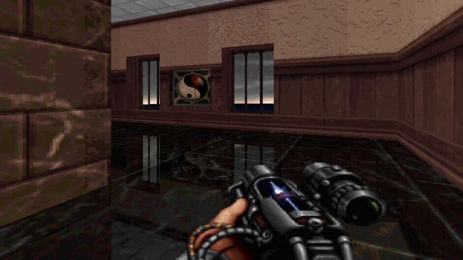 Shadow Warrior screenshot 5