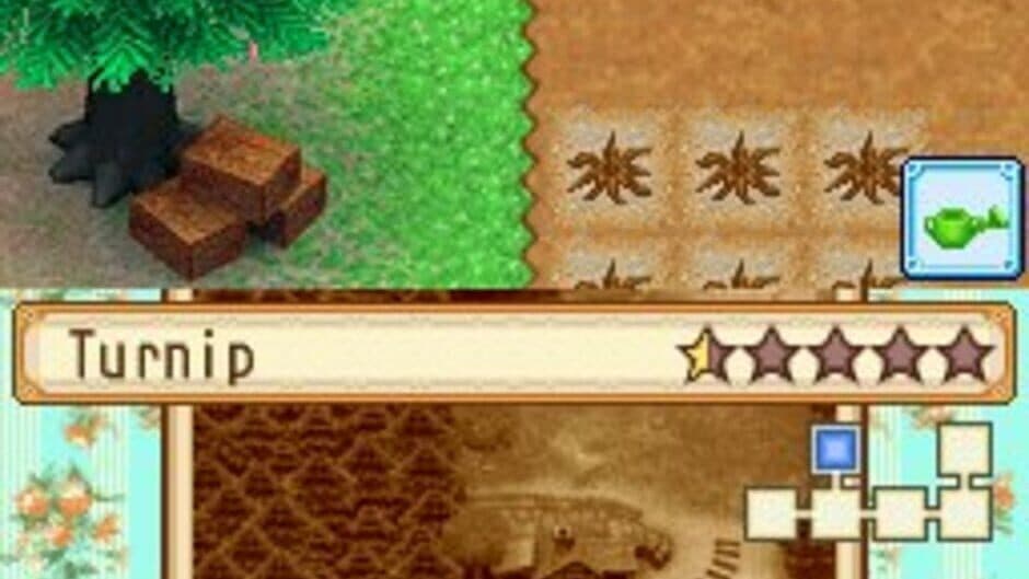 Harvest Moon DS: Grand Bazaar screenshot 7