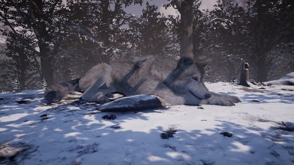 Nephise screenshot 5
