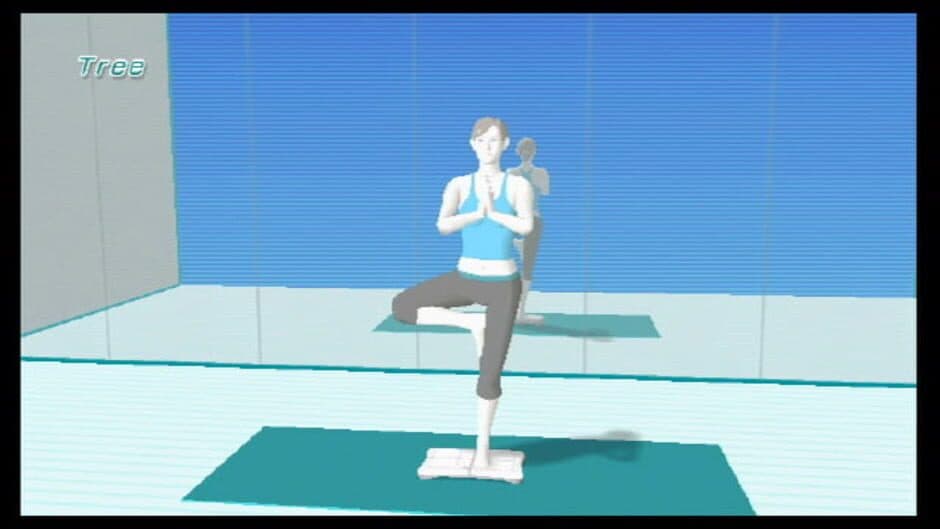 Wii Fit screenshot 6