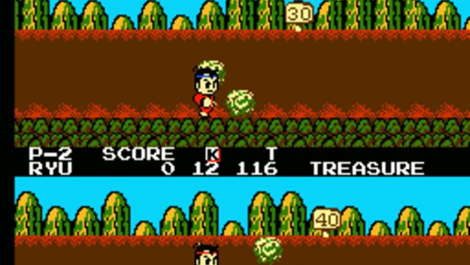 Little Ninja Brothers screenshot 9