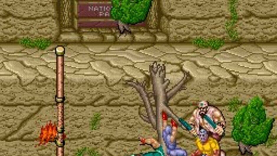 Ninja Gaiden screenshot 8