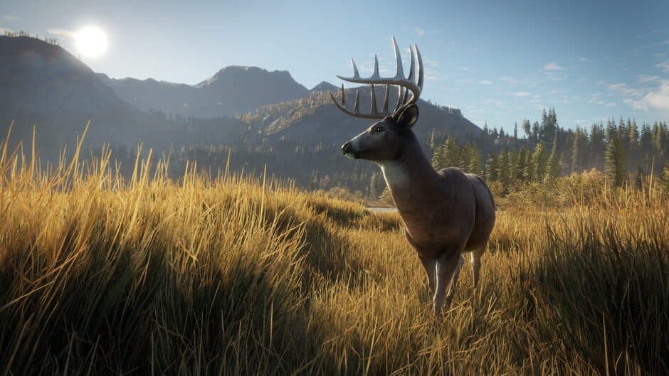 TheHunter: Call of the Wild screenshot 7