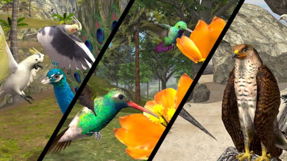 Ultimate Bird Simulator screenshot 8