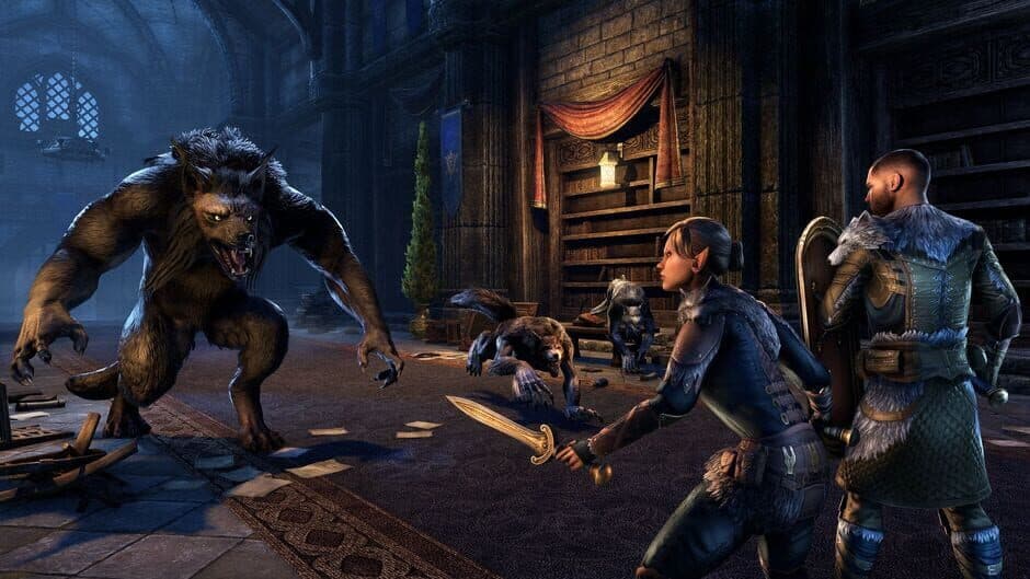 The Elder Scrolls Online screenshot 8