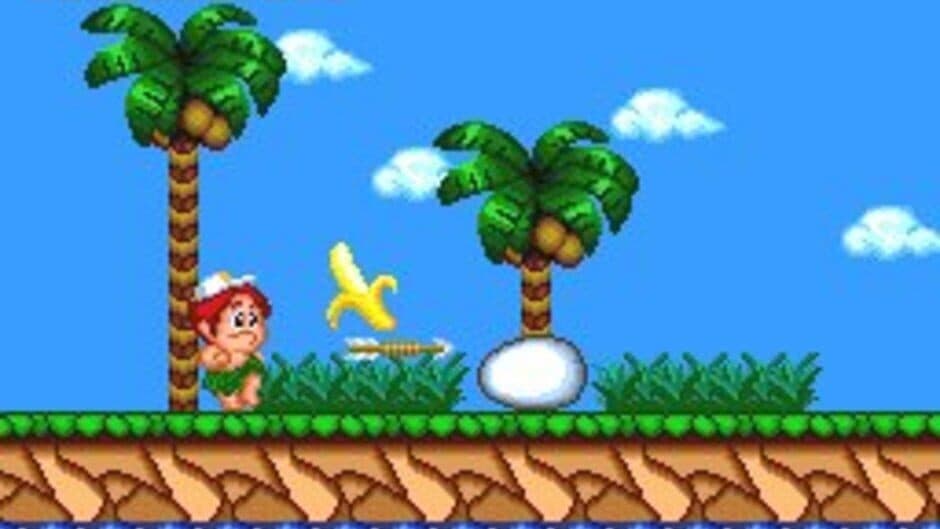 New Adventure Island screenshot 9