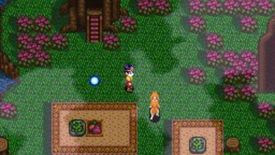 Soul Blazer screenshot 4