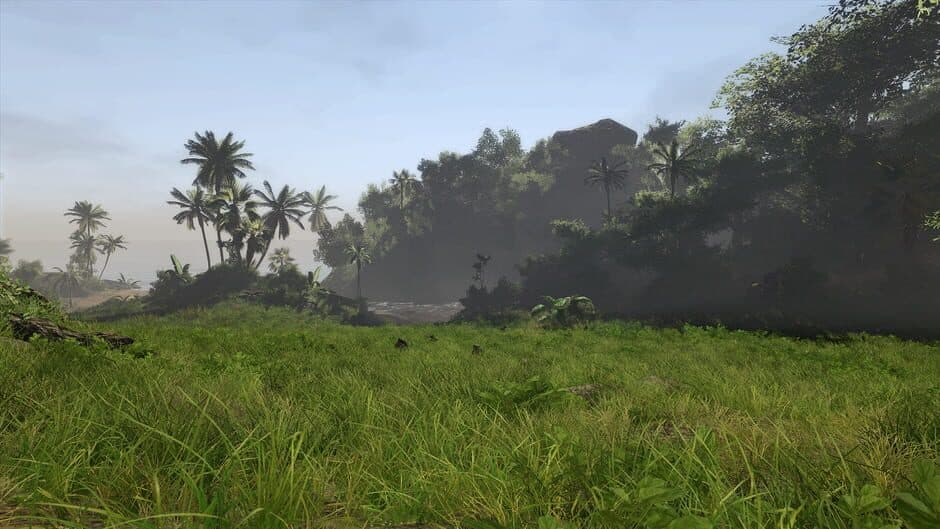 Risen 2: Dark Waters screenshot 4