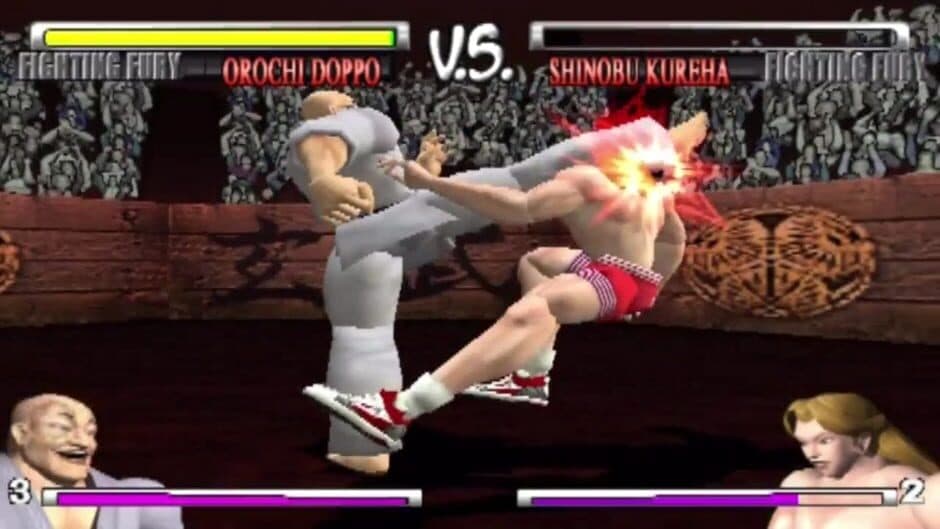 Fighting Fury screenshot 1