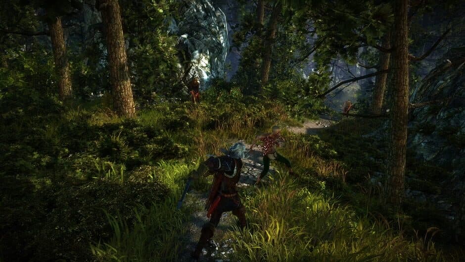 The Witcher 2: Assassins of Kings screenshot 1