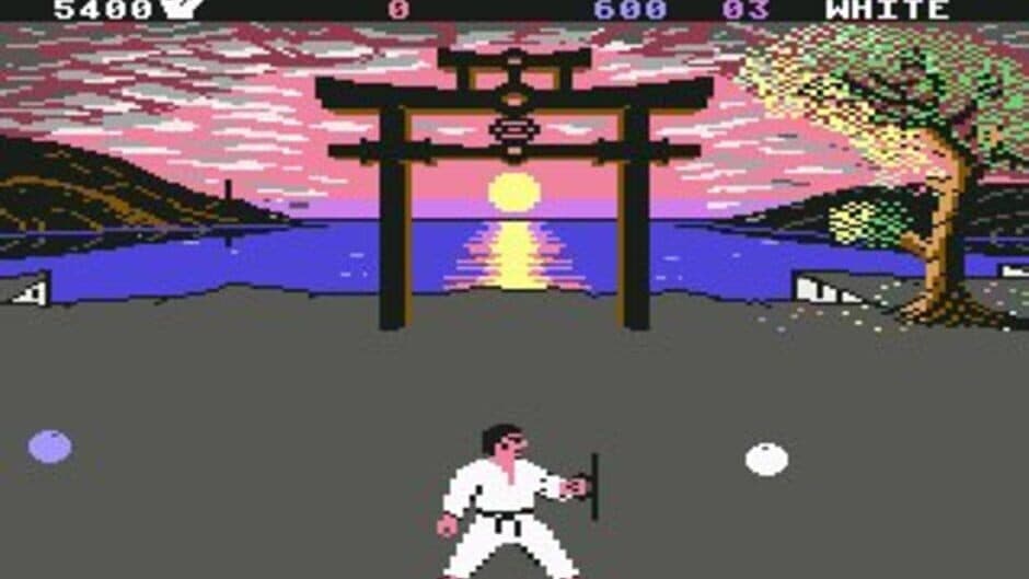 International Karate + screenshot 7