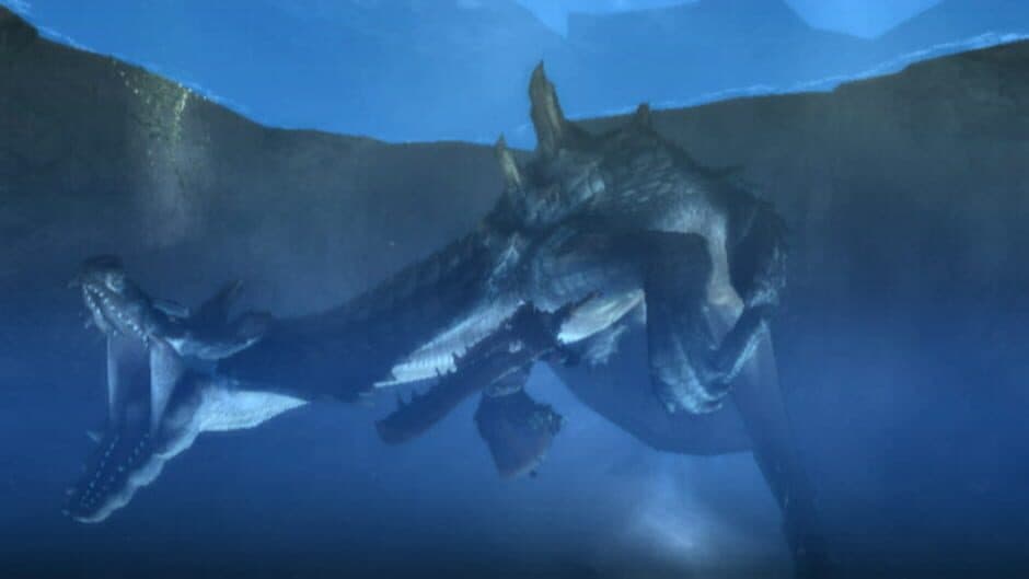 Monster Hunter Tri screenshot 3