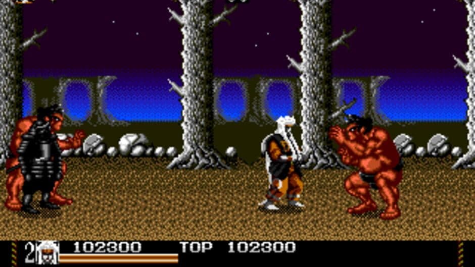Mystical Fighter screenshot 2