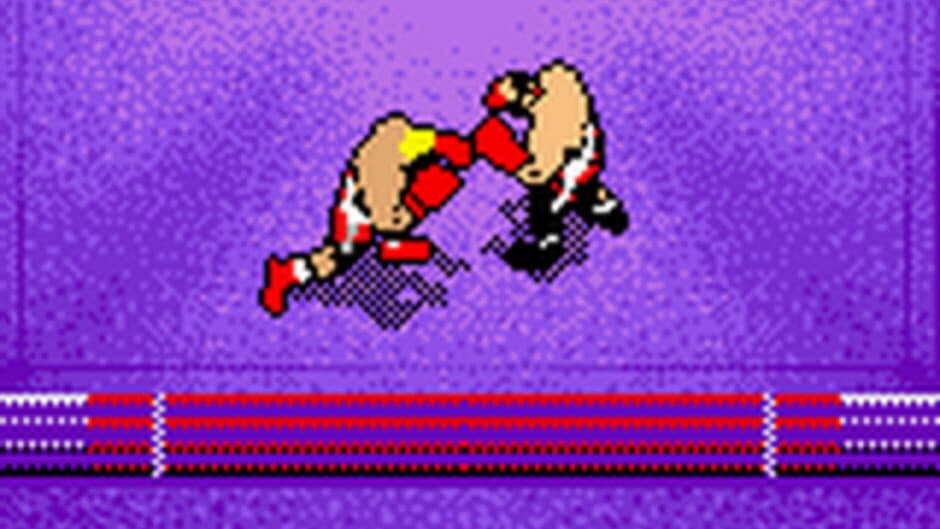Prince Naseem Boxing screenshot 1