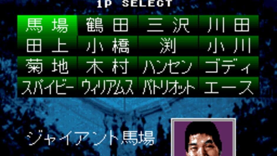 Zen-Nippon Pro Wrestling screenshot 2